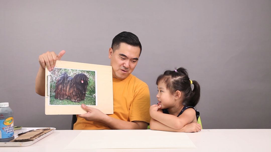 怀疑你是猫还是狗,你到底是猫还是狗啊原版