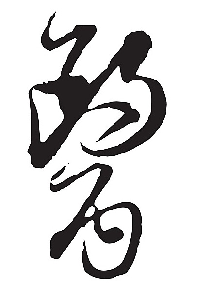 《老中医》小课堂之二：中医也有江湖，也分门派？