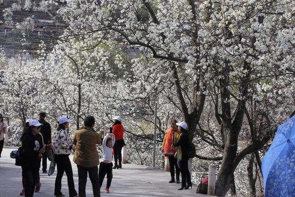 阿坝州金川县发展,阿坝州乡村振兴产业发展规划