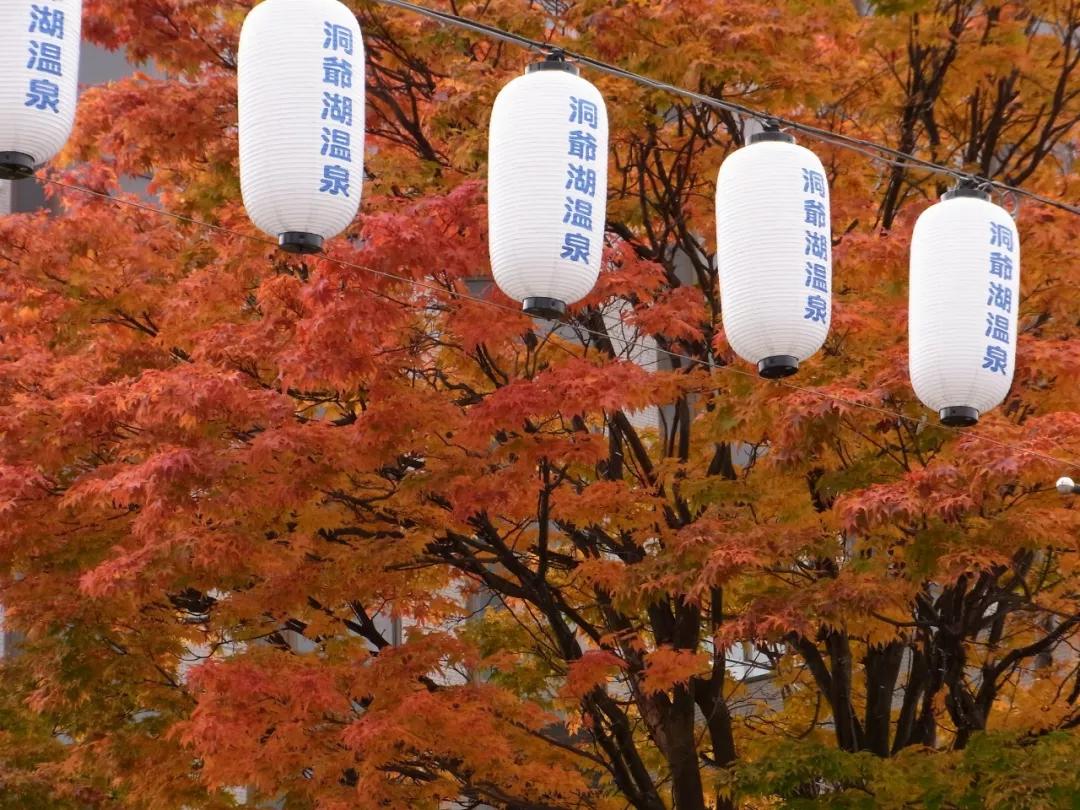 北海道十日游路线,夏日北海道9天自由行