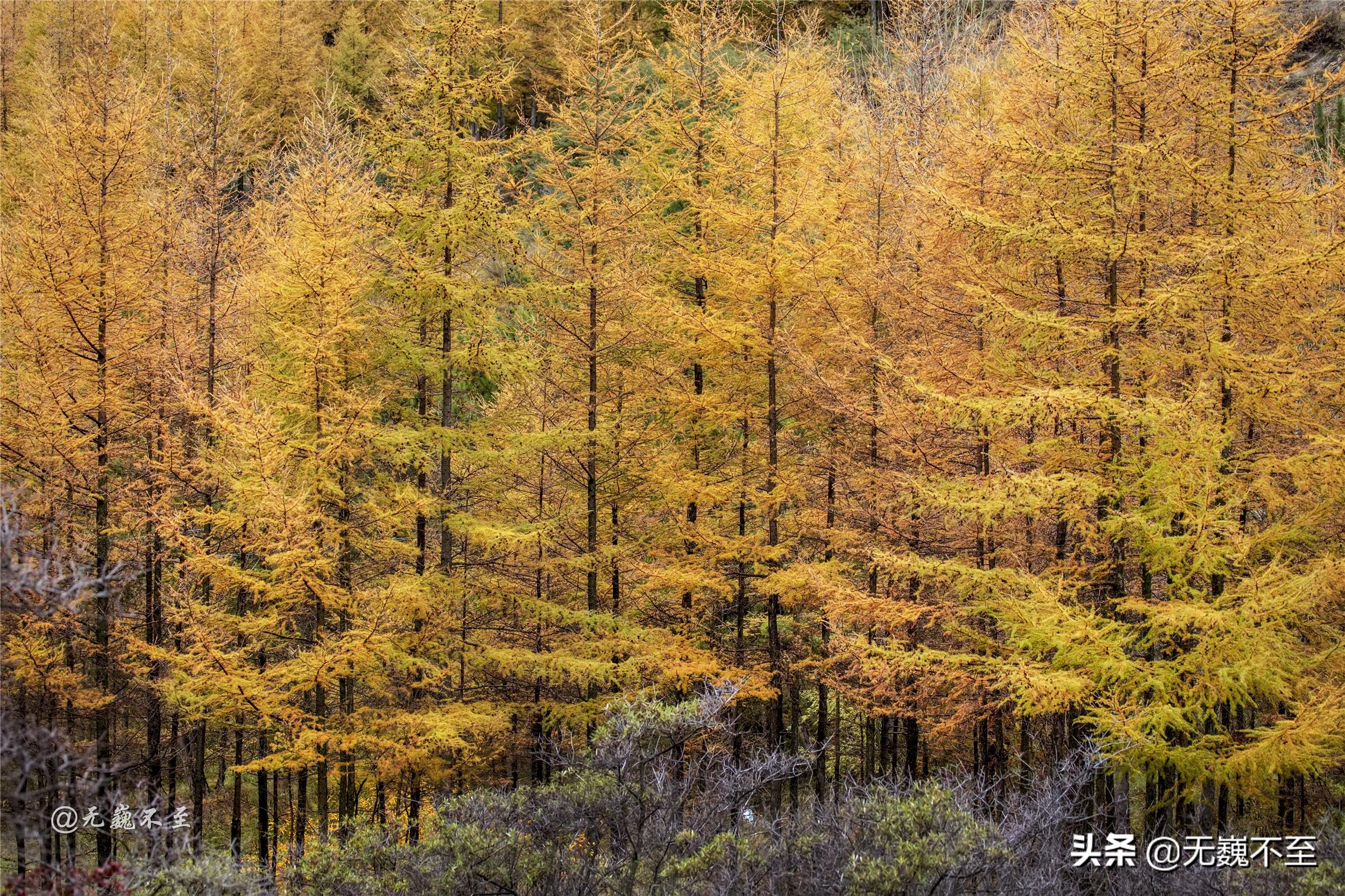 重走长征路宁夏固原,固原六盘山红军长征之路
