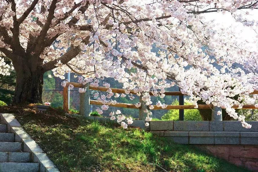 辽宁有美丽的小镇,辽宁有个小城市