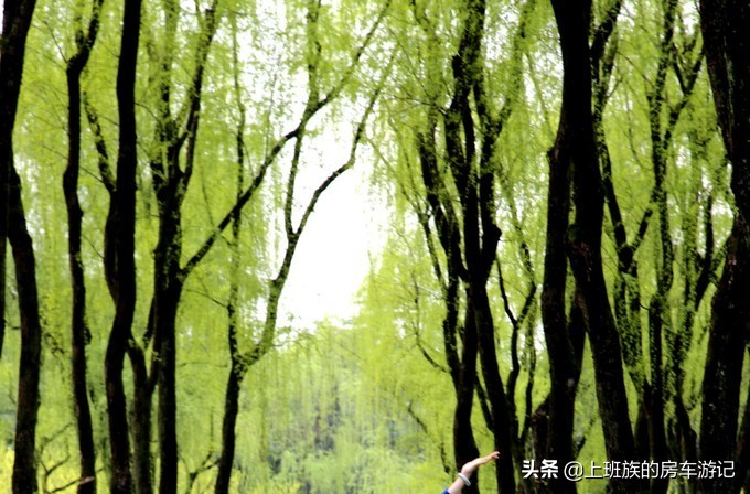 周末微旅行：秦望山麓访名校，白沙堤岸醉桃柳（第二季）