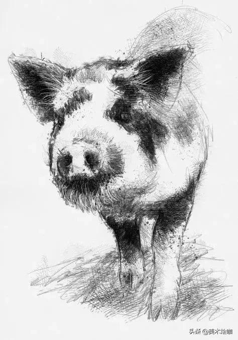 6-12岁儿童素描课程画动物,素描动物教程简单8-12岁