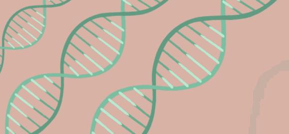 吃什么能有效的淡斑祛斑,如何才能方便有效的祛斑淡斑