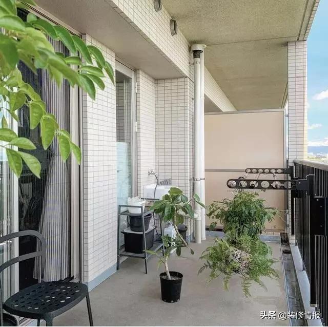 丁克夫妻一人一个房间,两人三餐四季爸妈的爱情