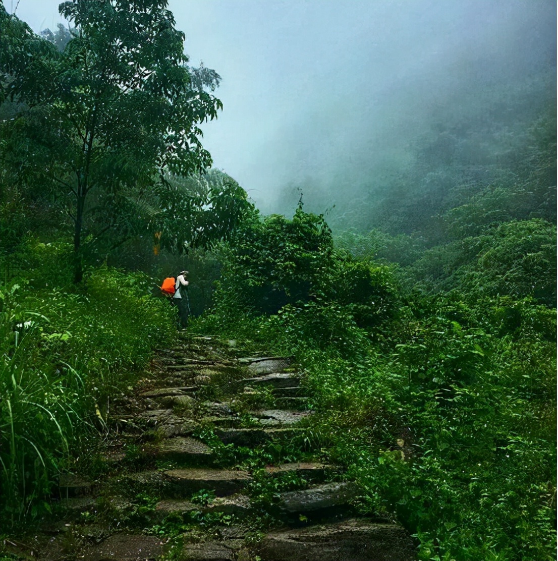 宁国吴越古道徒步方案,吴越古道徒步攻略临安