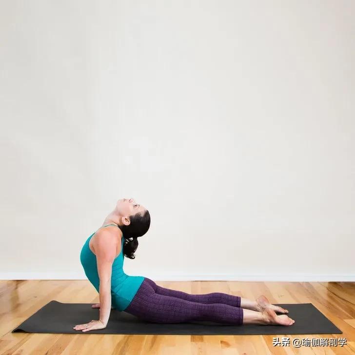 促进身体新陈代谢的最好瑜伽,排体寒的瑜伽动作
