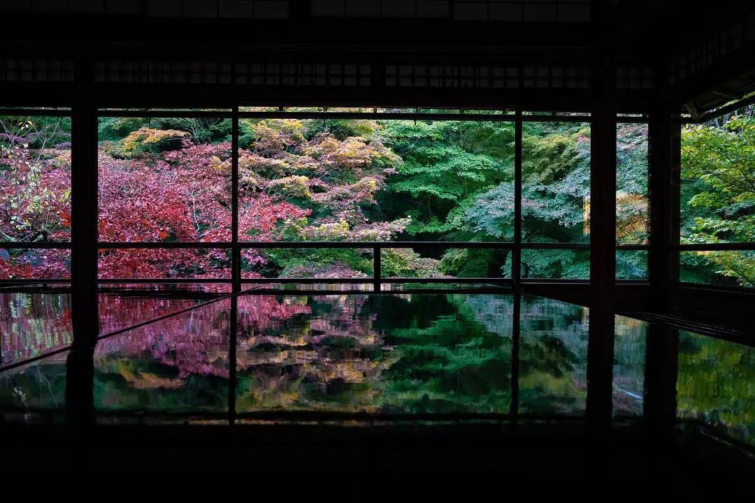 做个‘追枫少女’领略红叶之美！