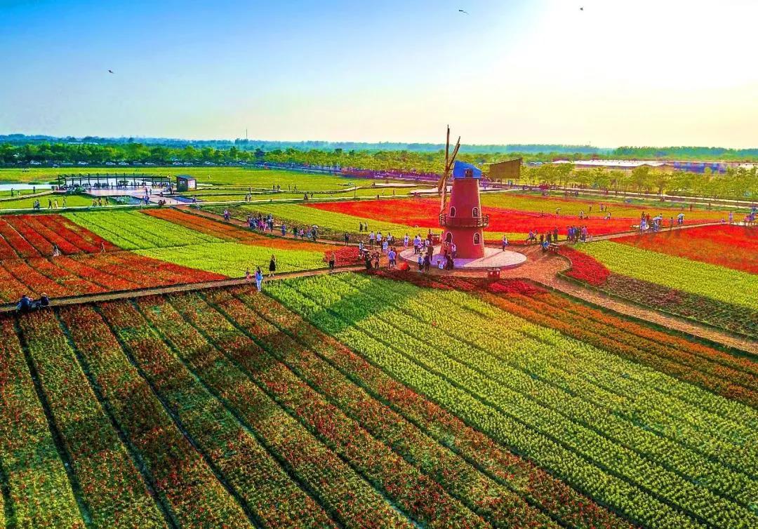 合肥最宜居小区,合肥最宜居的板块