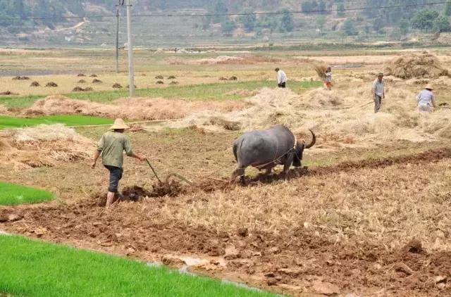 云南这个村子百家相连,一不留神就走到人家房顶上了