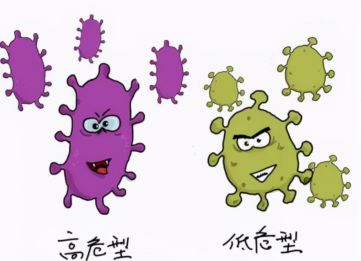 hpv转阴后一年又复阳是什么原因,hpv阳性转阴还可以打hpv吗