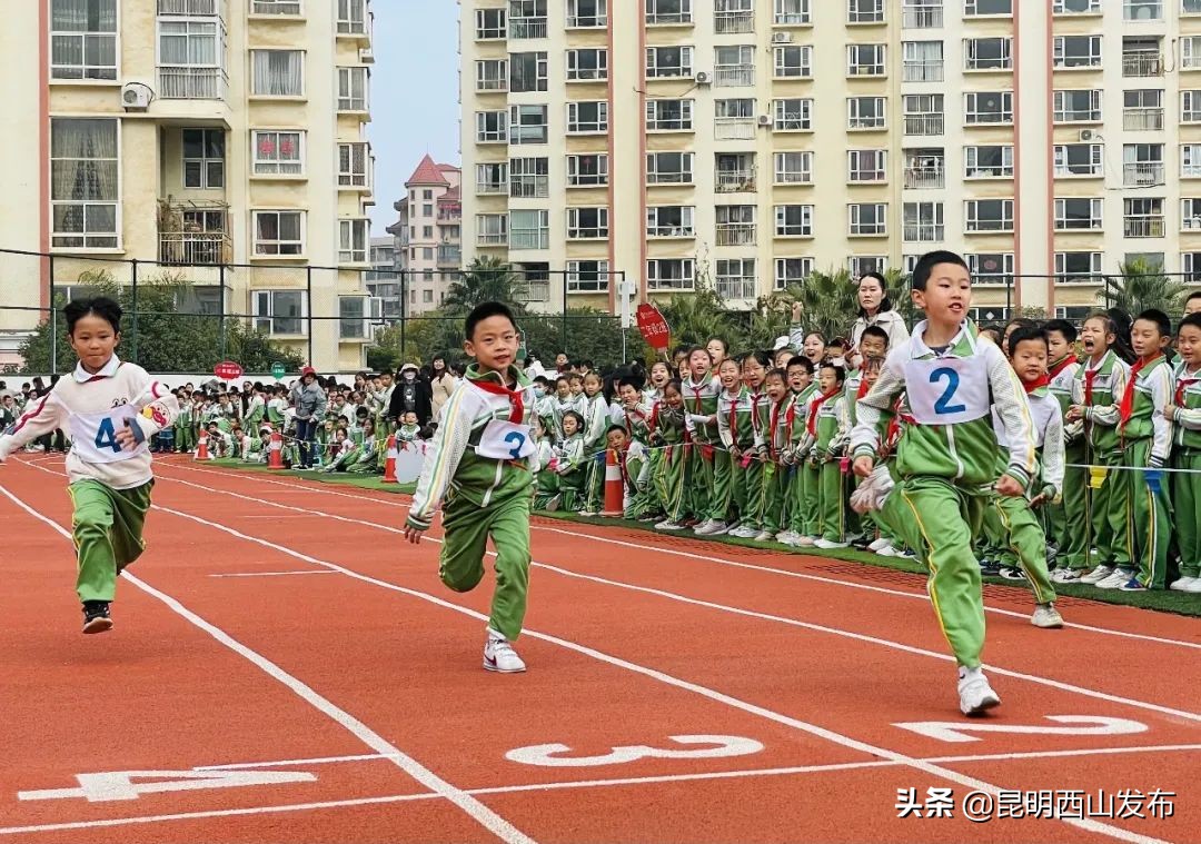 运动健儿在赛场上奋勇拼搏的英姿,奋力拼搏赛出风采