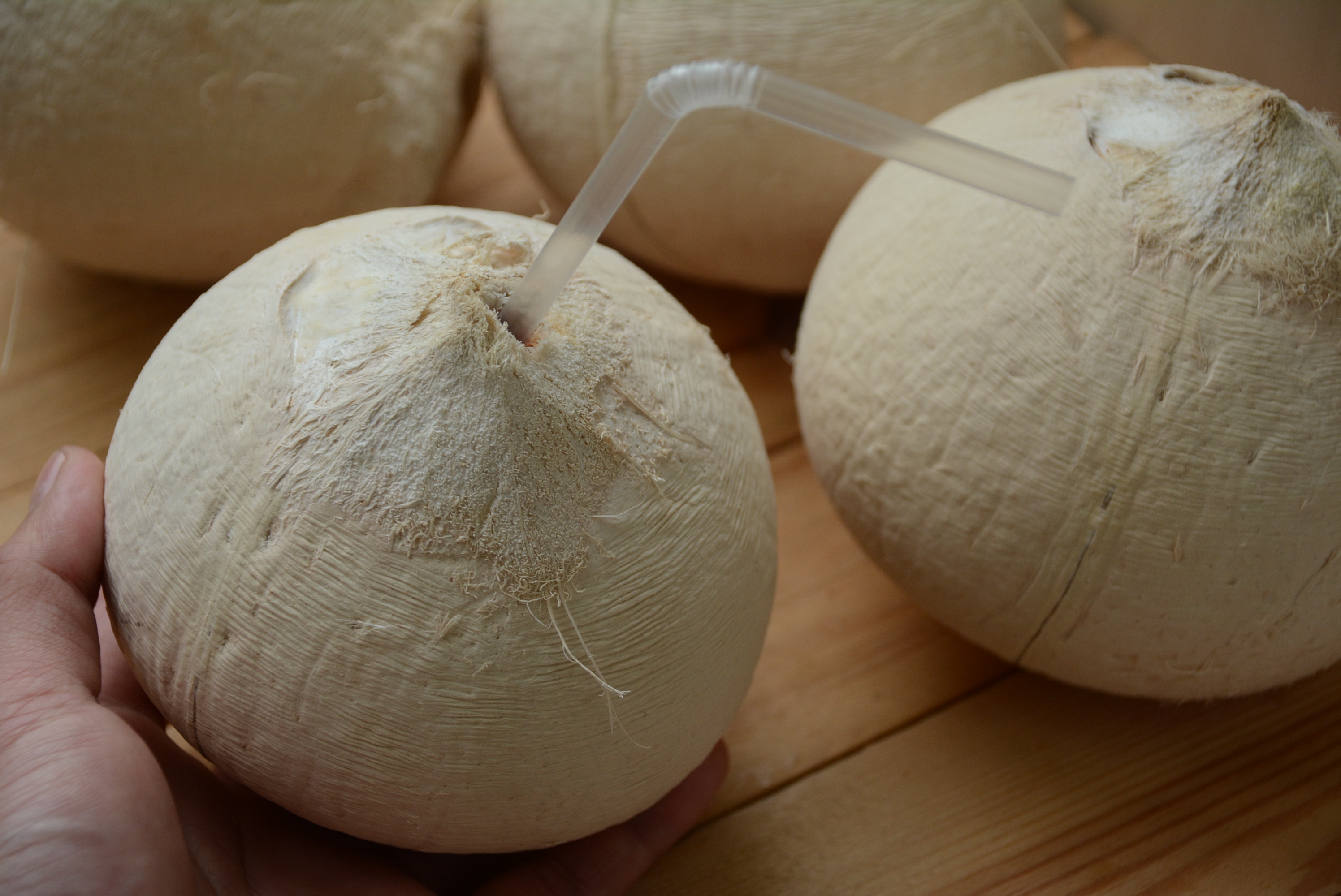 狗狗能吃椰子肉吗,狗狗吃椰子油有什么好处