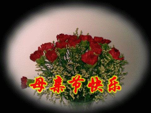 母亲节表情包,母亲节康乃馨视频完整版