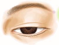 从丑小鸭到白天鹅的经历了什么,从丑小鸭到白天鹅蜕变