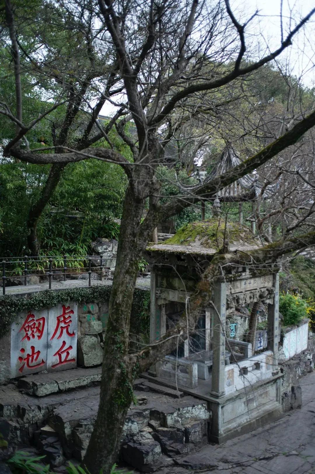 枫叶租车成都店,苏州旅游自驾租车