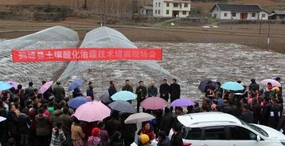 土壤酸化可以用生石灰吗,生石灰土壤处理