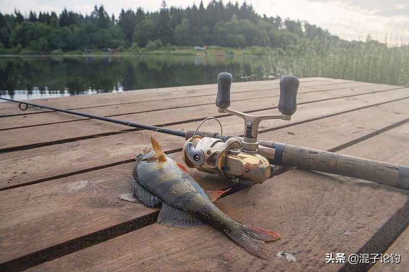 路亚竿新手入门应选什么调性的,路亚入门的第一支路亚竿