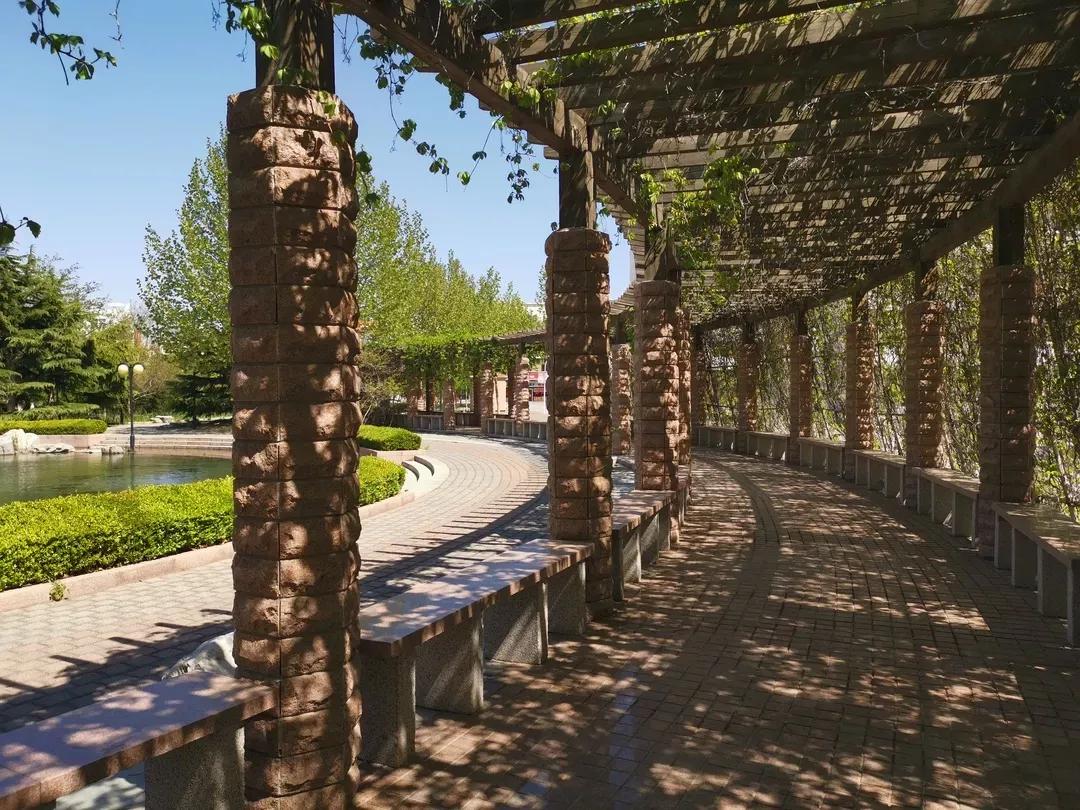 南开大学滨海学院天津排名,天津曾经的滨海学院