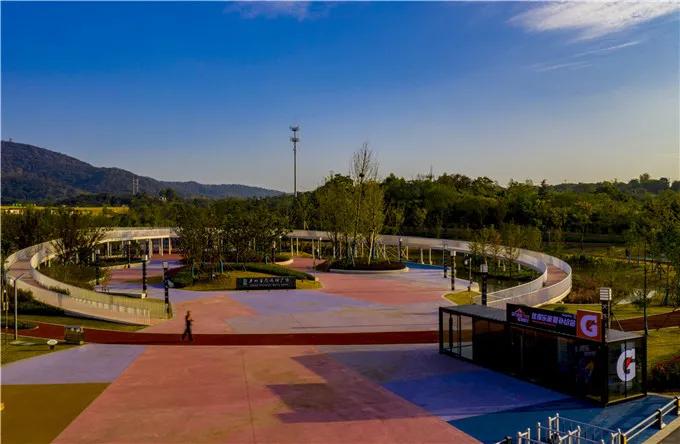 藏不住了这片樱花林免门票免预约,藏不住的傅先生