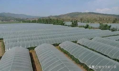 在农村开个什么加工厂比较赚钱,适合农村小作坊农产品加工项目