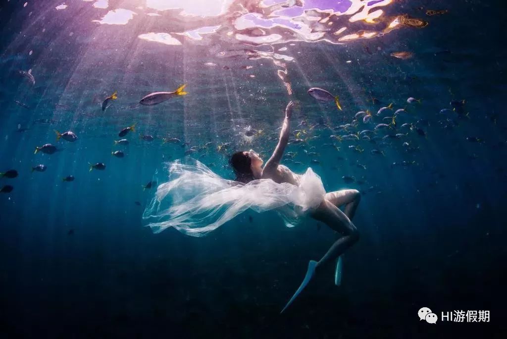 帕劳蓝洞潜水美人鱼,蓝色大海里的帕劳