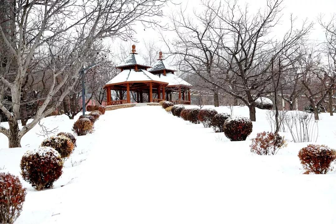 民办学校大连艺术学院全国排名,大连艺术学院辽宁排名