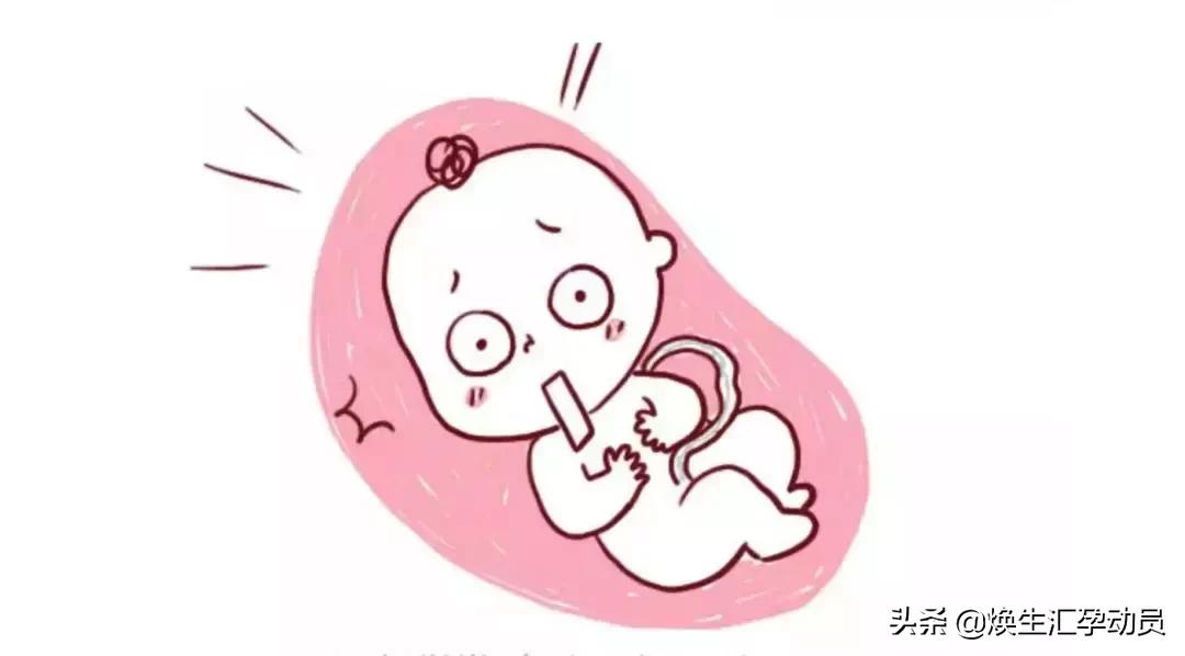 生孩子手剥胎盘的痛,都说生孩子疼但为什么不怕呢