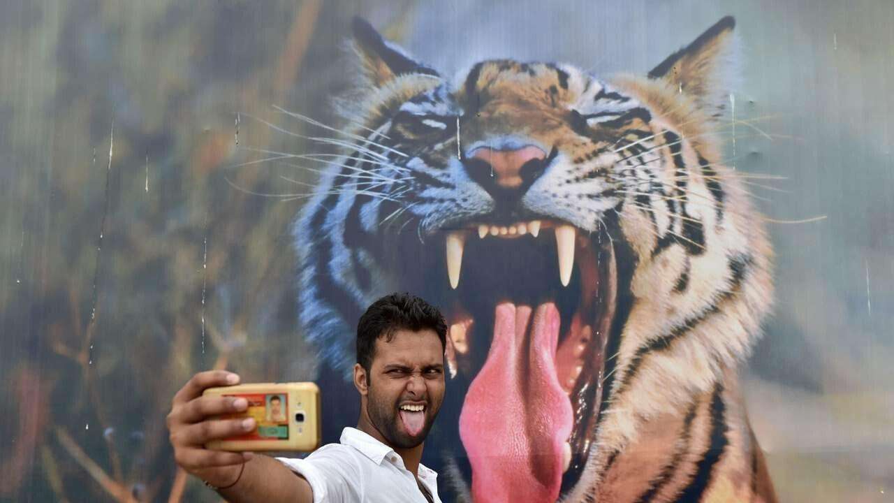 中国app重回印度,印度国产app