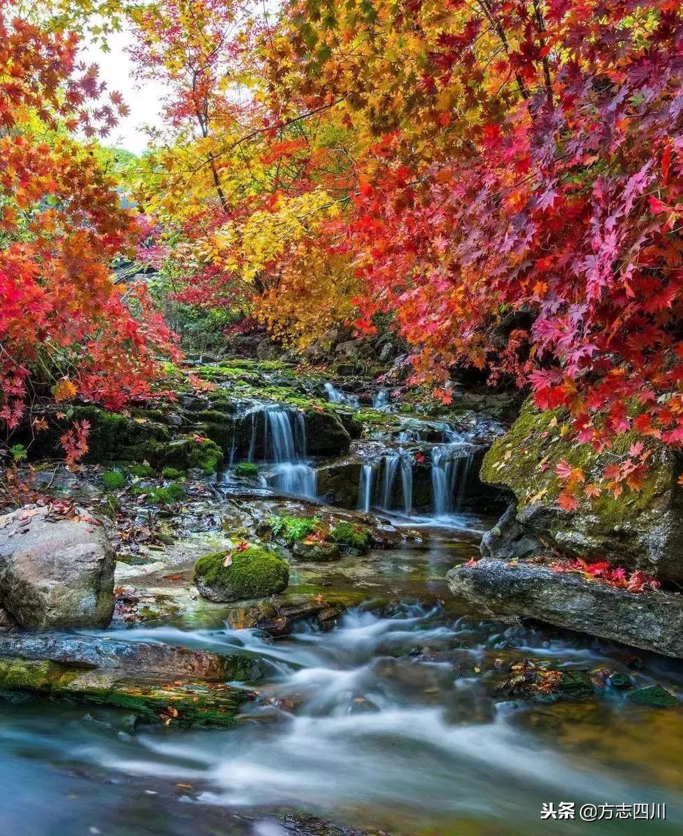 四川改革开放四十周年大事记,四川四十年改革开放对比图