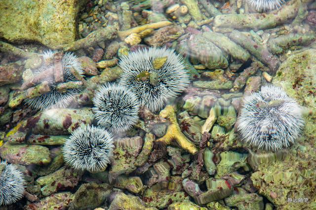 加勒比海邮轮旅行香港,加勒比海游轮旅行视频大全