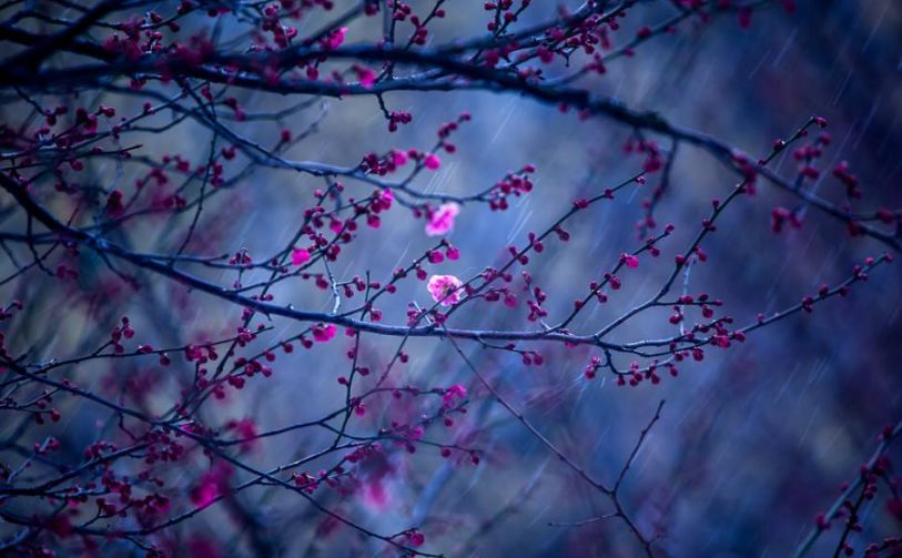 「诗词原创」张大泽｜围炉赊得三壶酒恰是闲来赋月诗