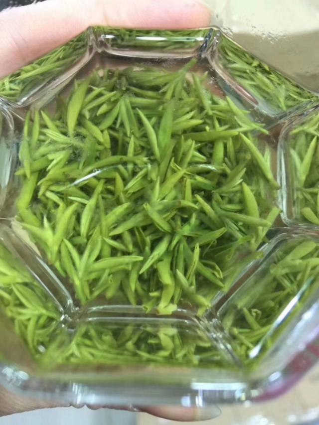 蒙山茶叶,蒙山茶文化发源地