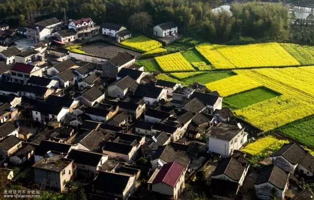 安徽皖南梯田美如世外桃源,皖美乡村旅游线路出炉