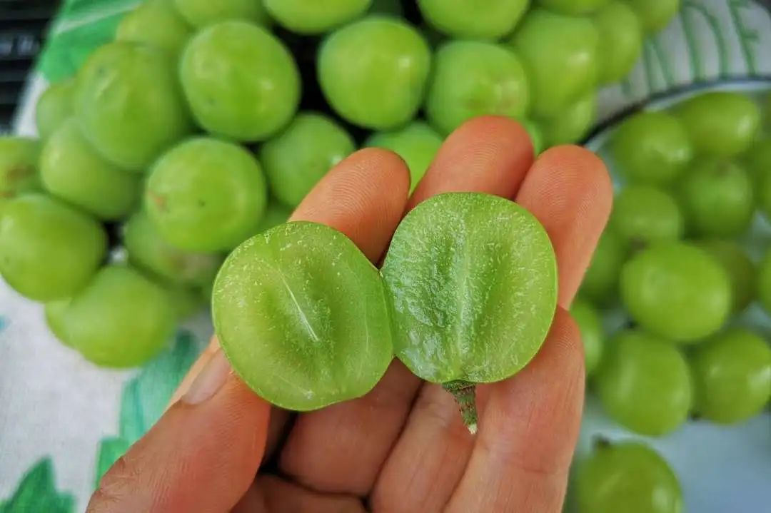 葡萄界的爱马仕晴王,葡萄界中的爱马仕跌落