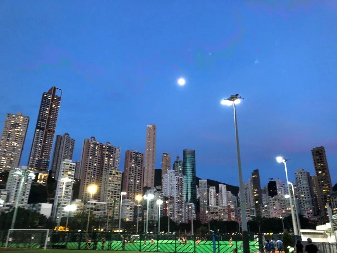 香港赛马会介绍,香港赛马会沙田马场