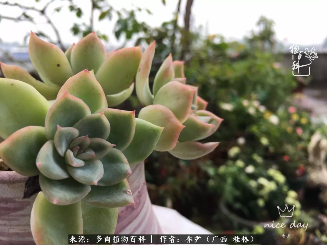 听到秋天的声音,听到了秋天的声音