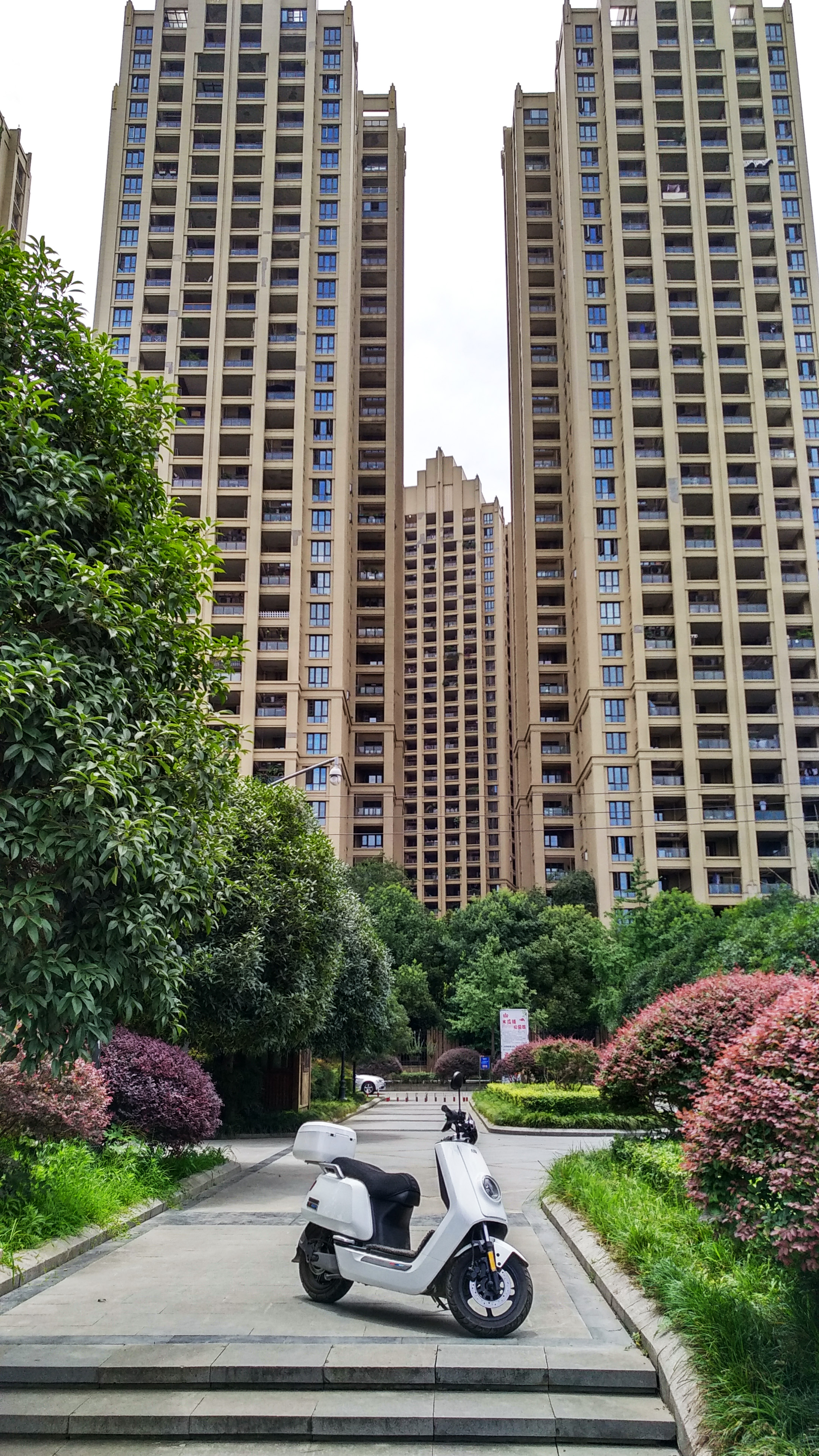 成都南湖公园钓鱼,成都南湖公园