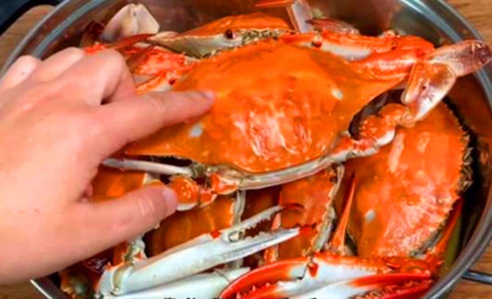 蒸螃蟹的做法用冷水或热水,蒸螃蟹冷水下锅还是热水下