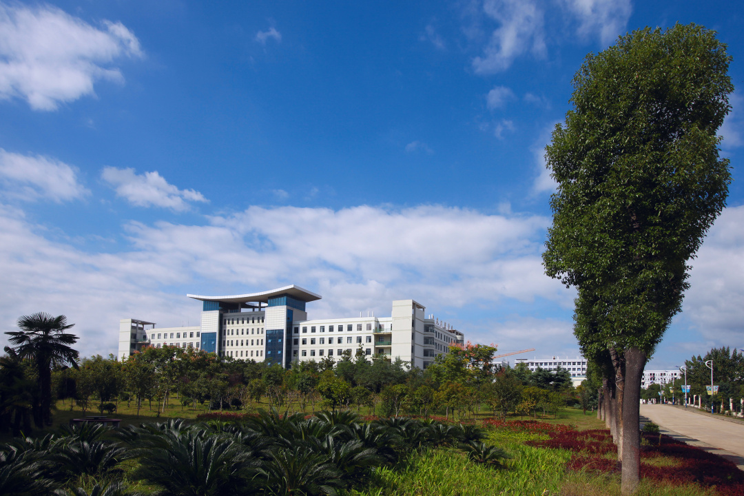 爱上大学的100种理由,爱上大学的100个理由