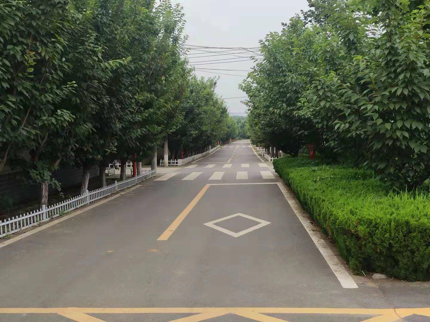 夏张镇村,夏张镇农村