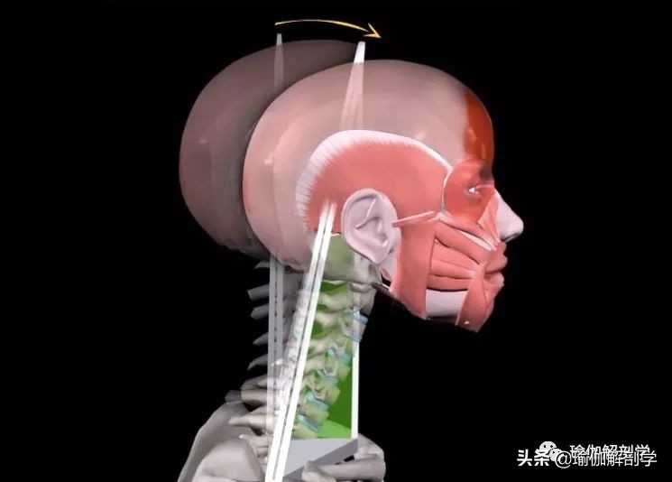 头前引怎么练体态,练瑜伽后显老怎么办