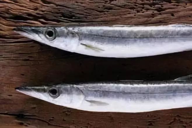 吃完就变富有的一顿饭：来自台湾非典型性富二代农夫Fudy