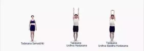 常见的艾扬格瑜伽体式,艾扬格瑜伽23个基本体式