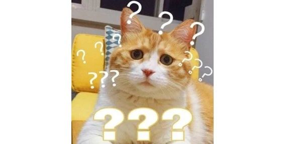 猫砂丢干垃圾还是湿垃圾,猫砂和猫屎可以扔垃圾桶吗