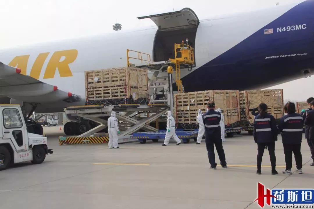 近1000只澳洲“羊妞”乘专机空降太原2018年已连续引进三批次