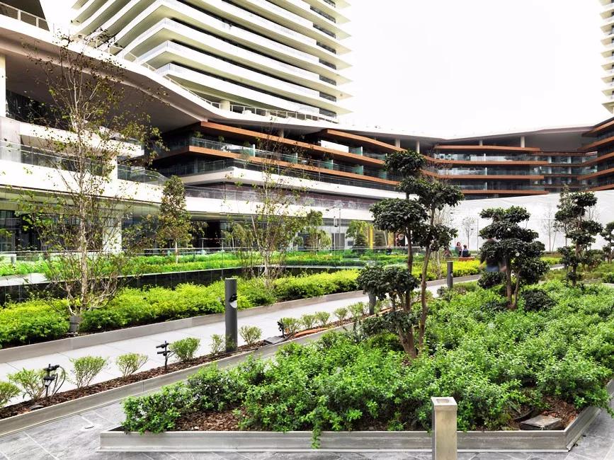 商业步行街景观设计效果图,现代商业街景观效果