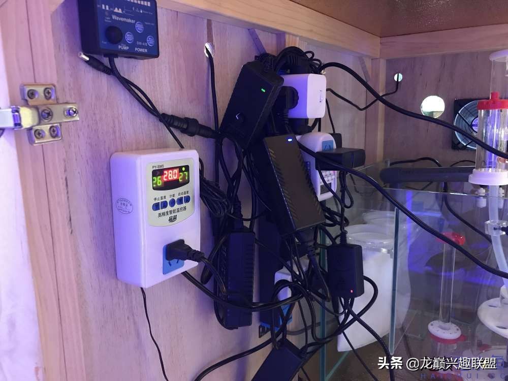 从零开始玩海缸的方法,从零开始玩海缸全过程