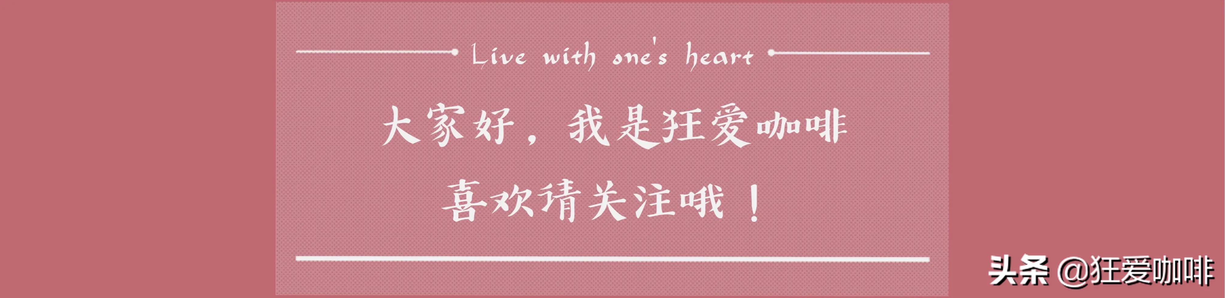 100个萌萌图案手账,动物手帐可爱小图案